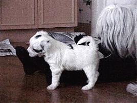 Nick and Chloe